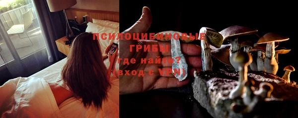 ешки Кукмор