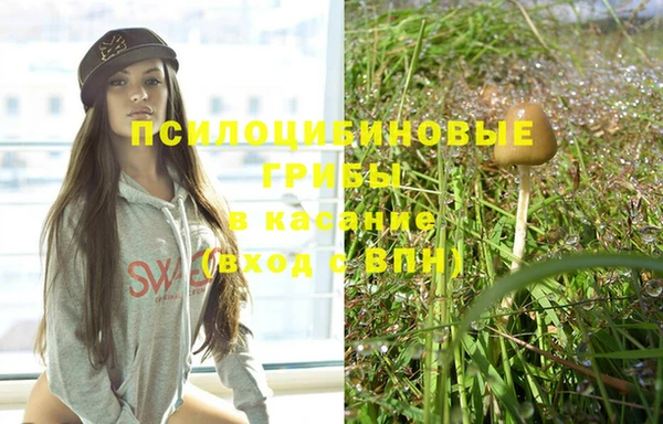 mdpv Куйбышев