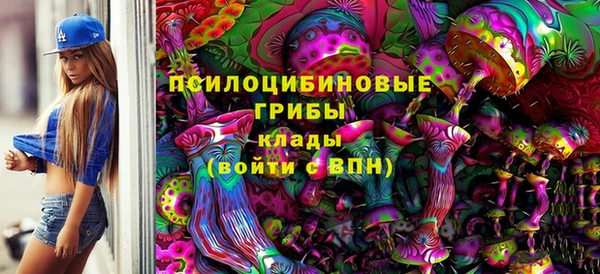 mdpv Куйбышев